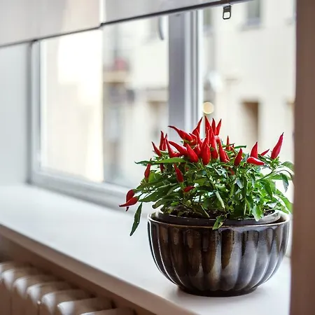 Old Town Trio Aparthotel