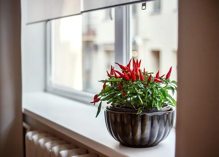 Old Town Trio Aparthotel